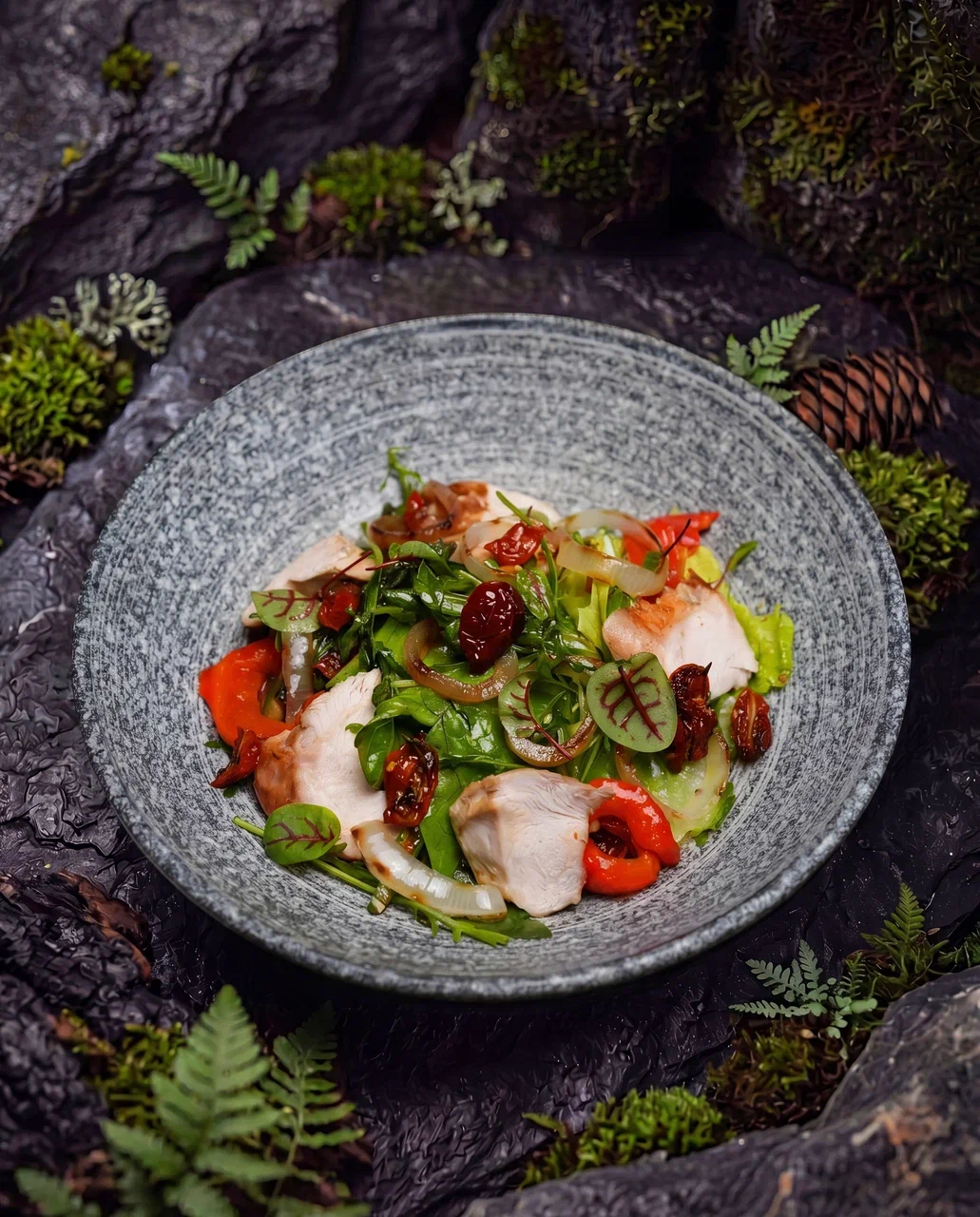 dish